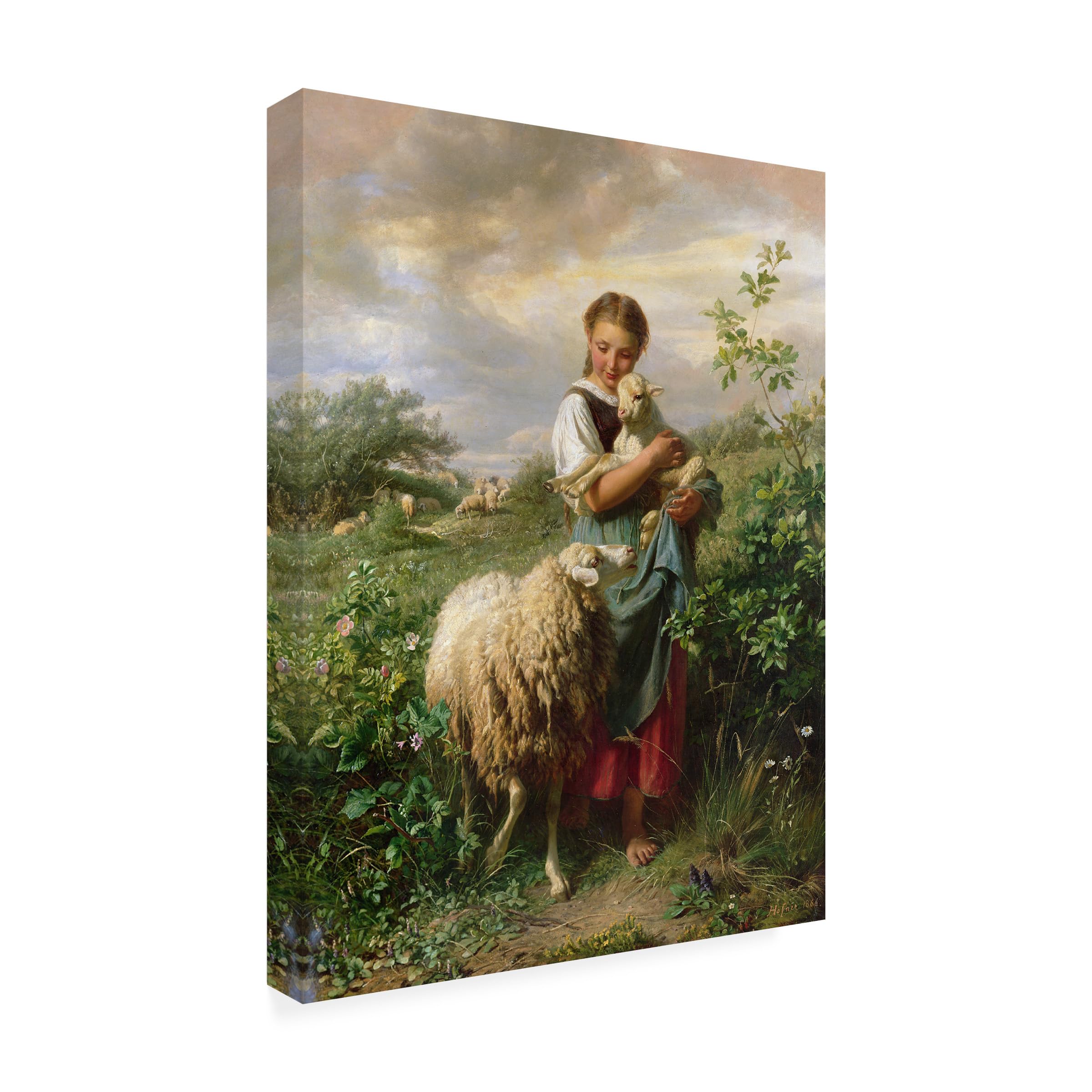 Amazon.com: Wrapped Canvas Wall Art - Johann Hofner 'The